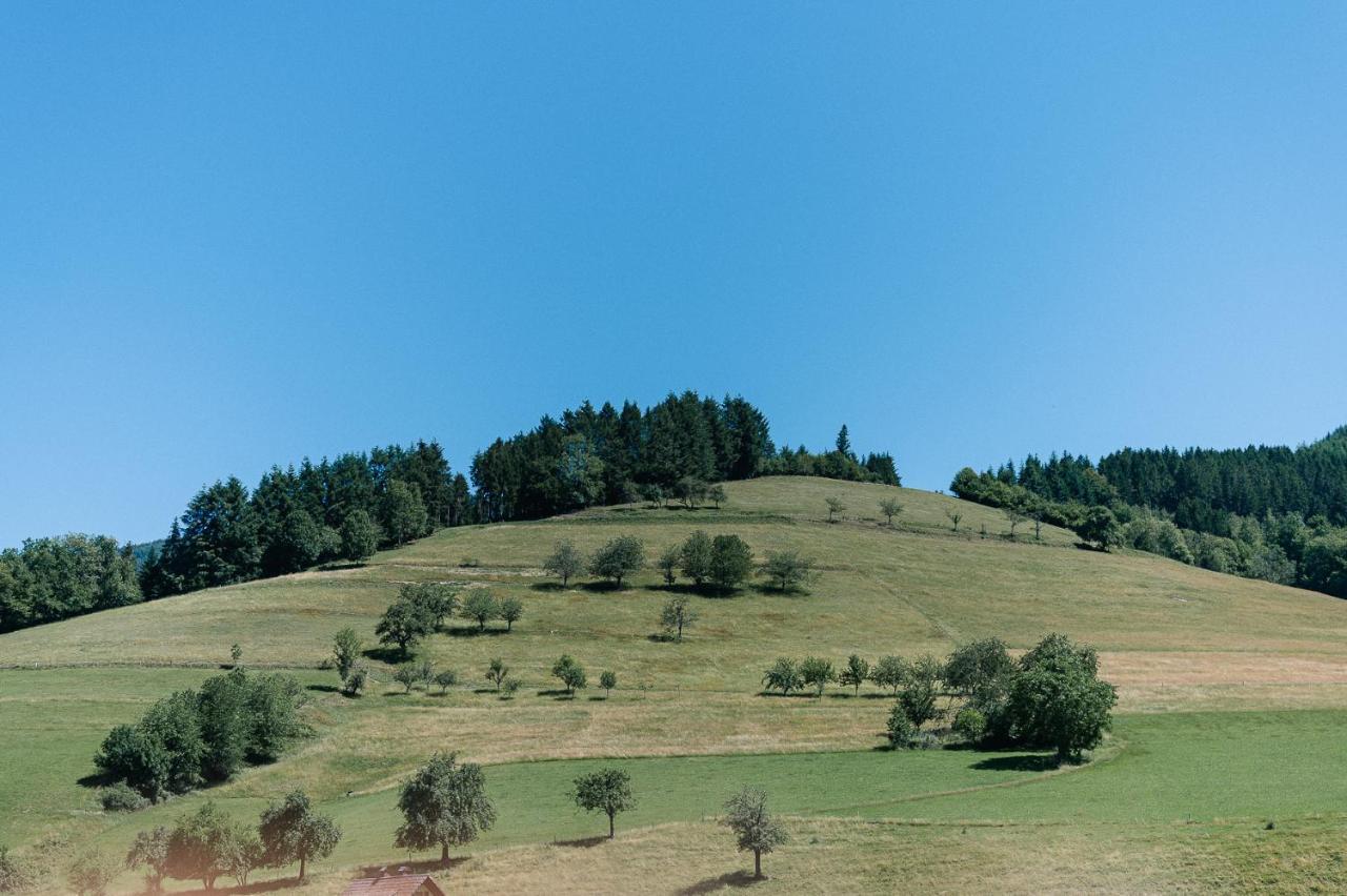 Moderne 2 Zi.-Fewo Blackforestart Naehe Freiburg Simonswald Kültér fotó